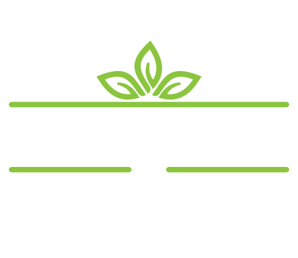 Village at Pioneer Crossing by Blandford Homes